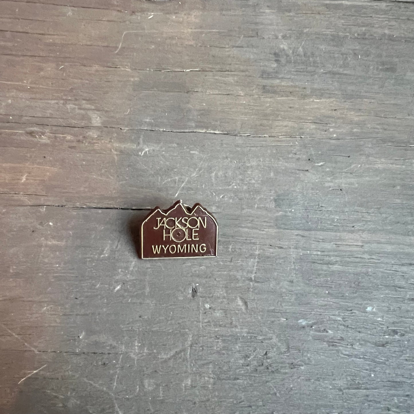 Jackson Hole Pin