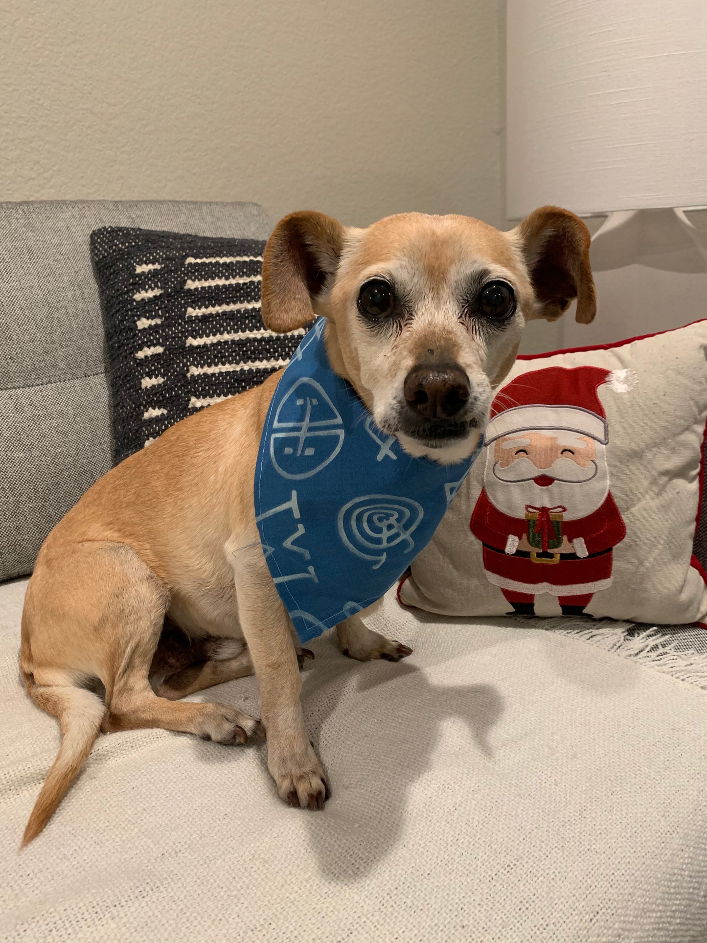 Adjustable dog bandana with tie