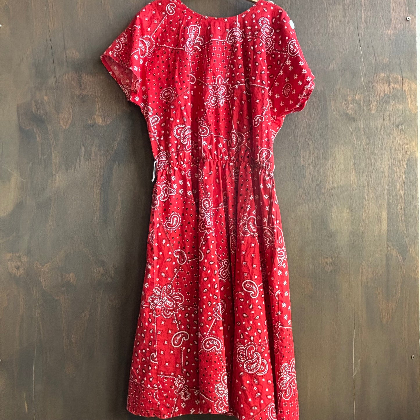 Vintage Red Paisley Dress