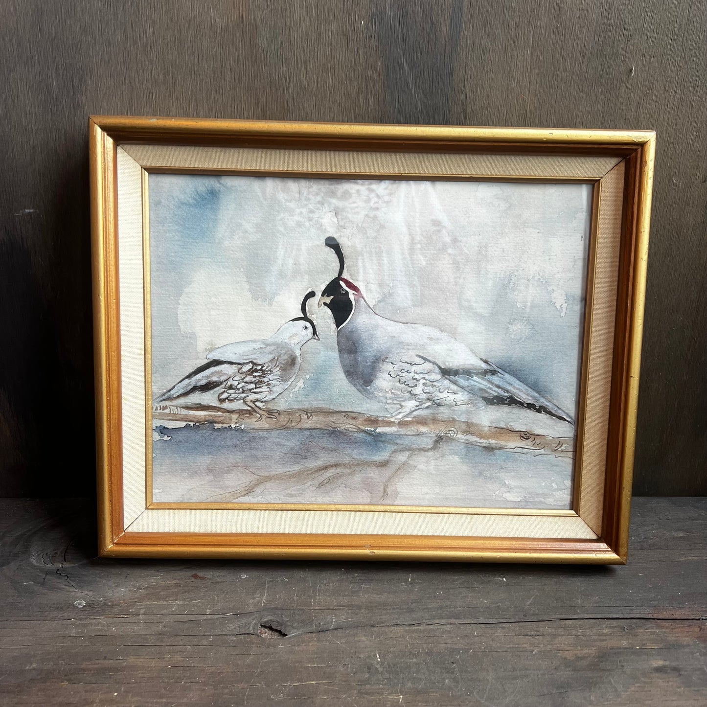 Quail Art Print