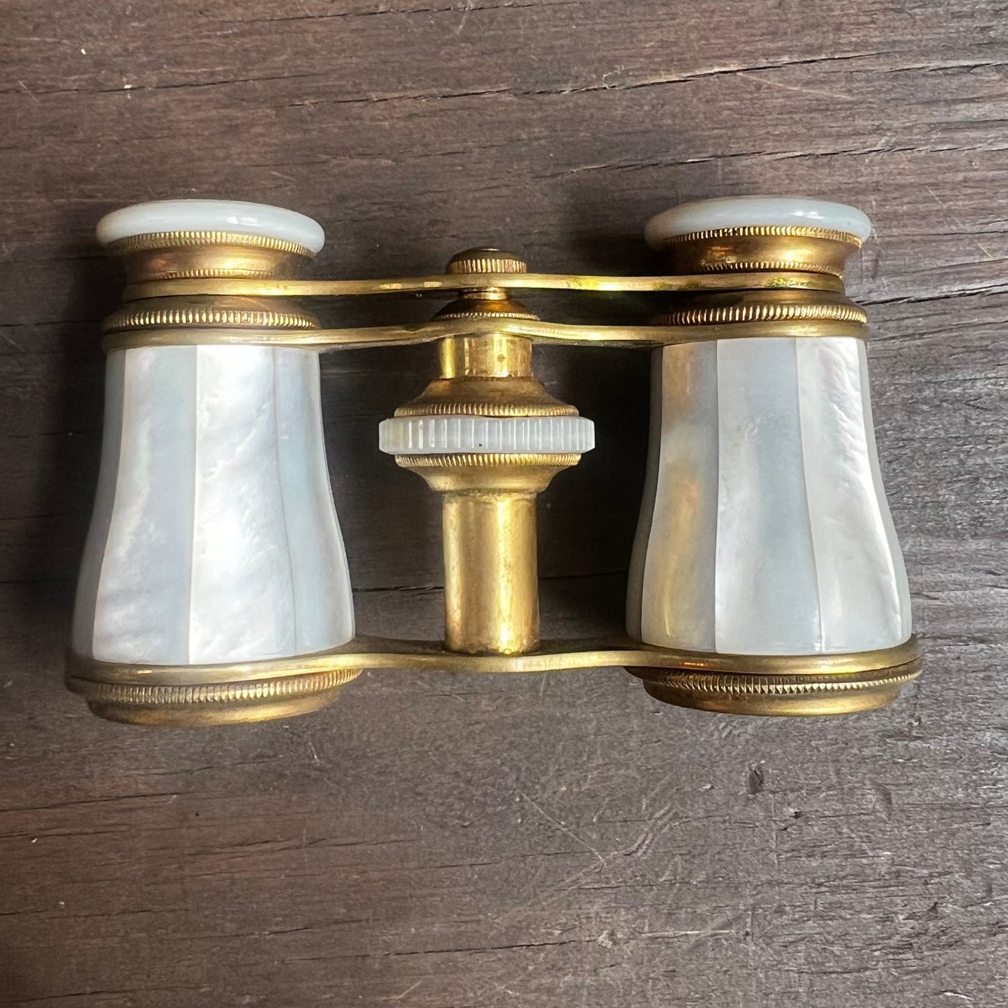 Vintage Binoculars with Carrying Case