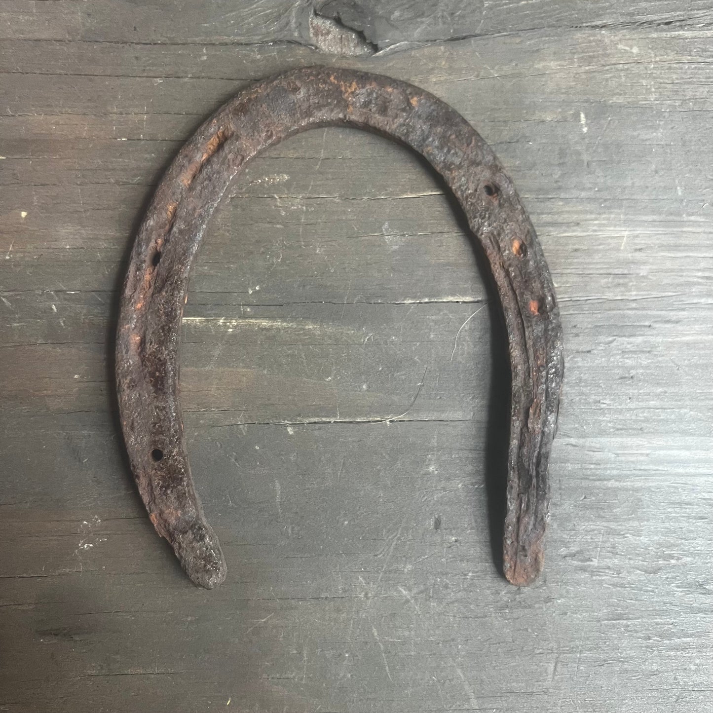 1930s Vintage Iron Horseshoes