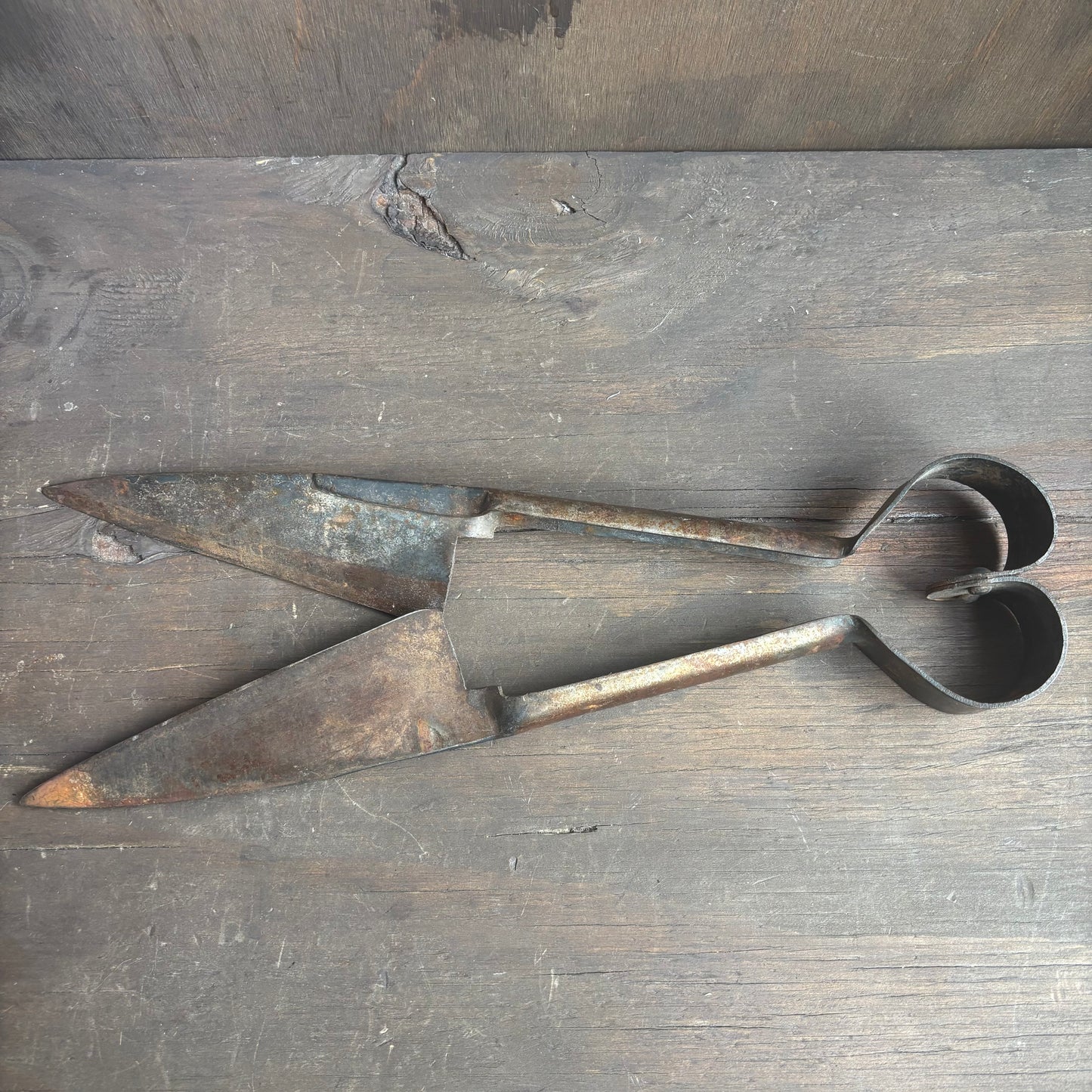Antique Sheep Sheers