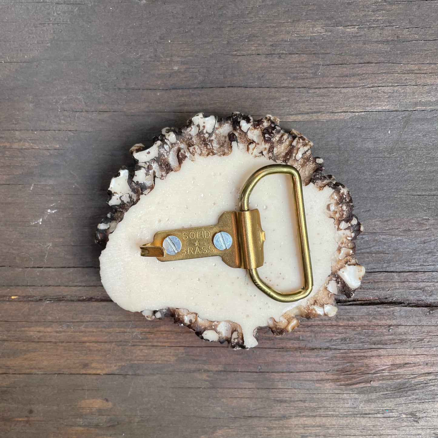 Resin Antler Belt Buckle
