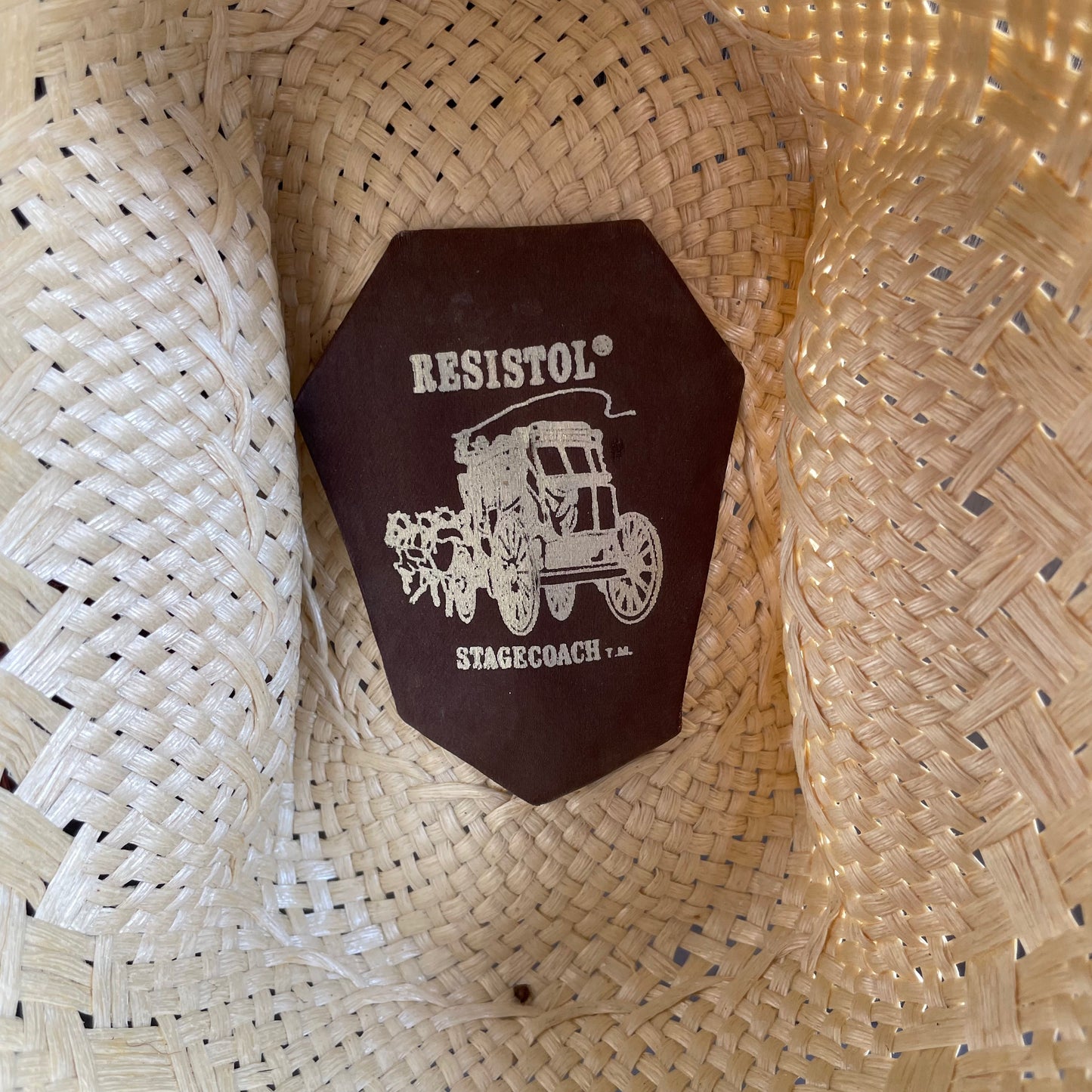 Resistol Snake River Straw Hat