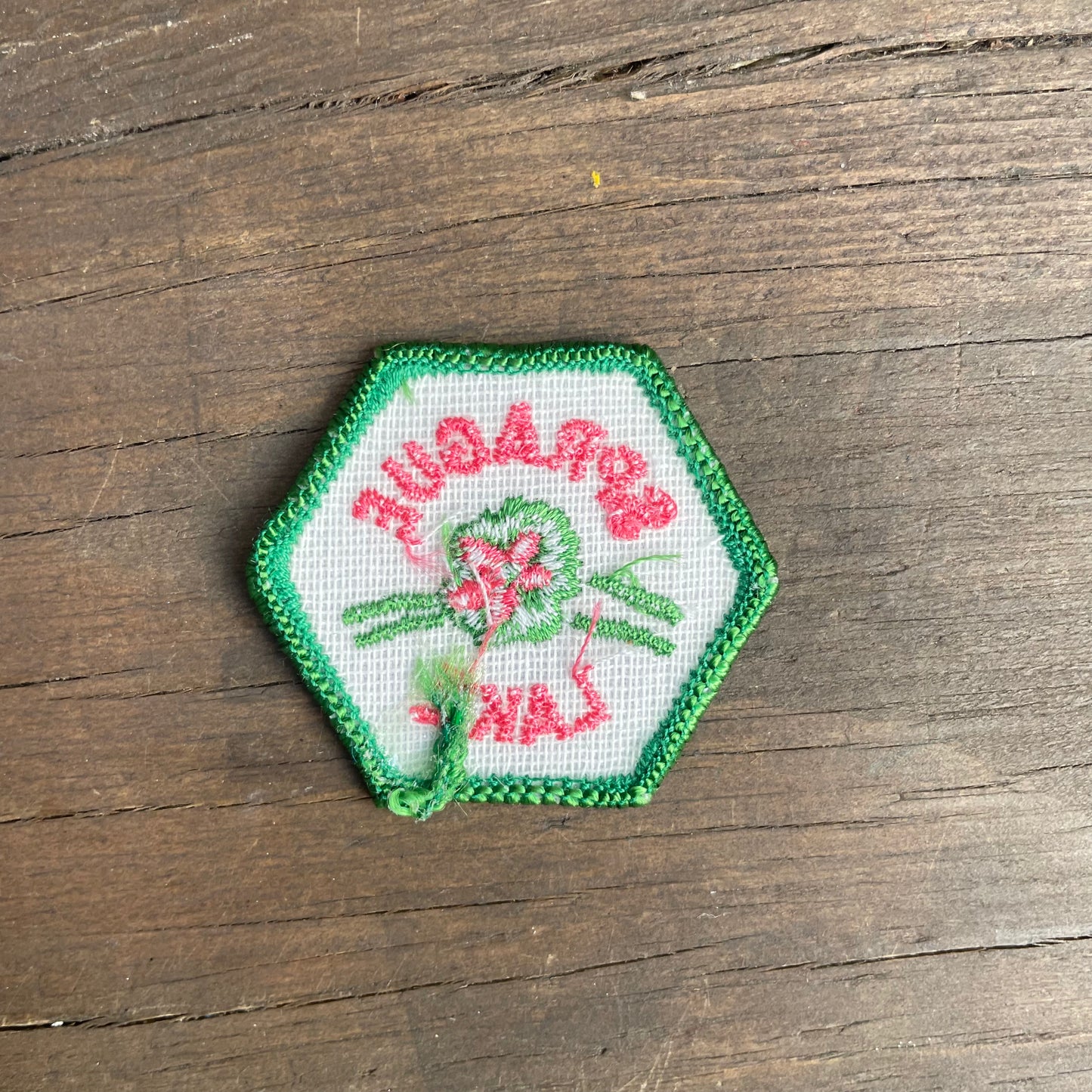 Vintage Sprague Lake Patch