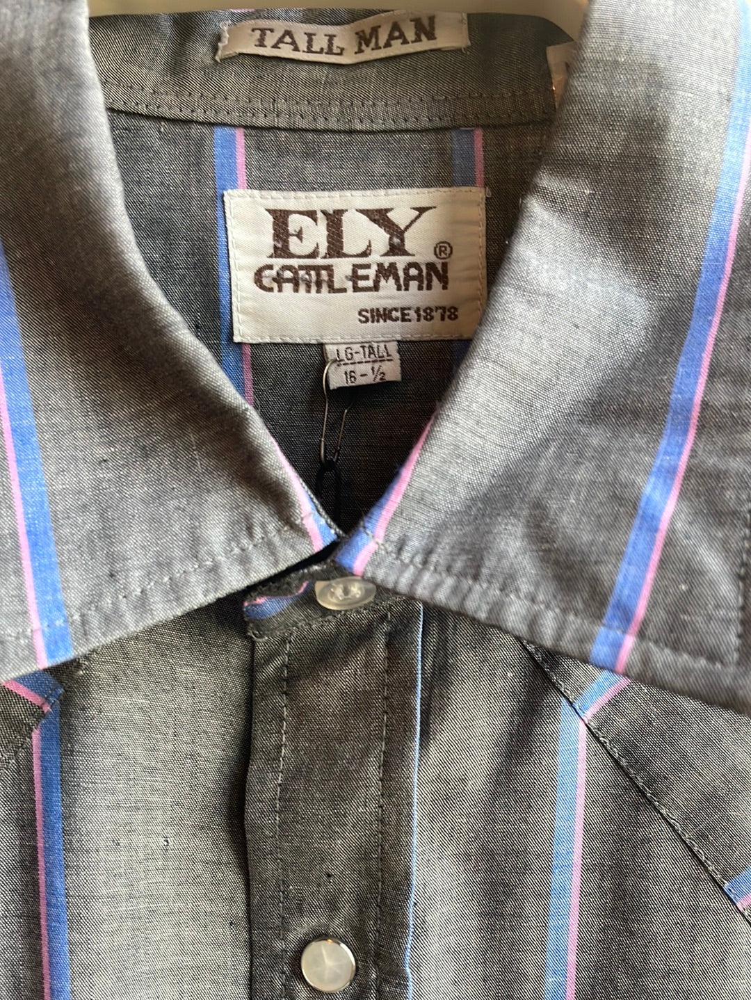 Ely Cattleman Striped Shirt