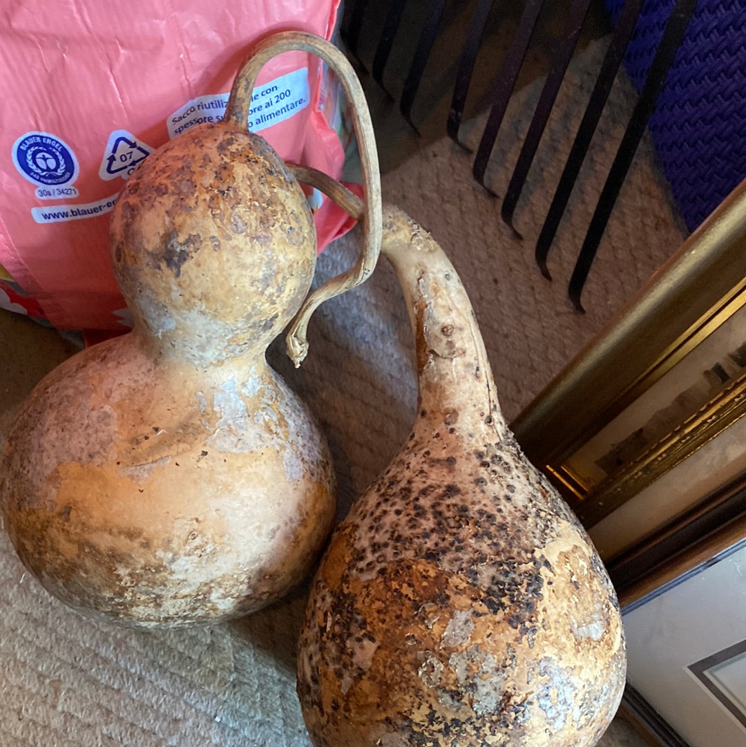 Wooden Squash Decoration- Rustic