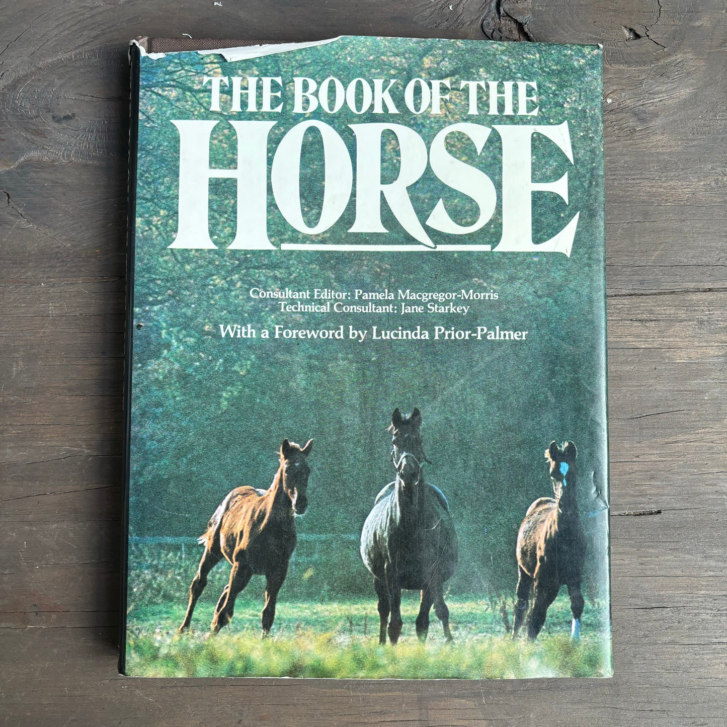 The Book of The Horse