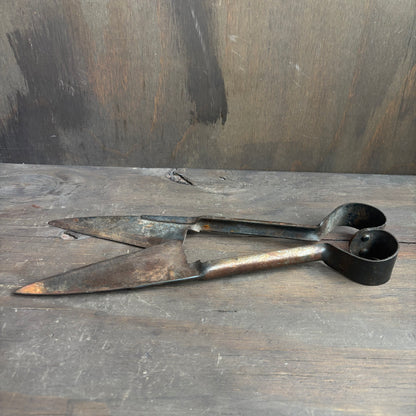 Antique Sheep Sheers