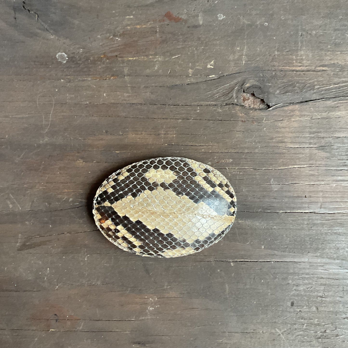 Snakeskin Belt Buckle