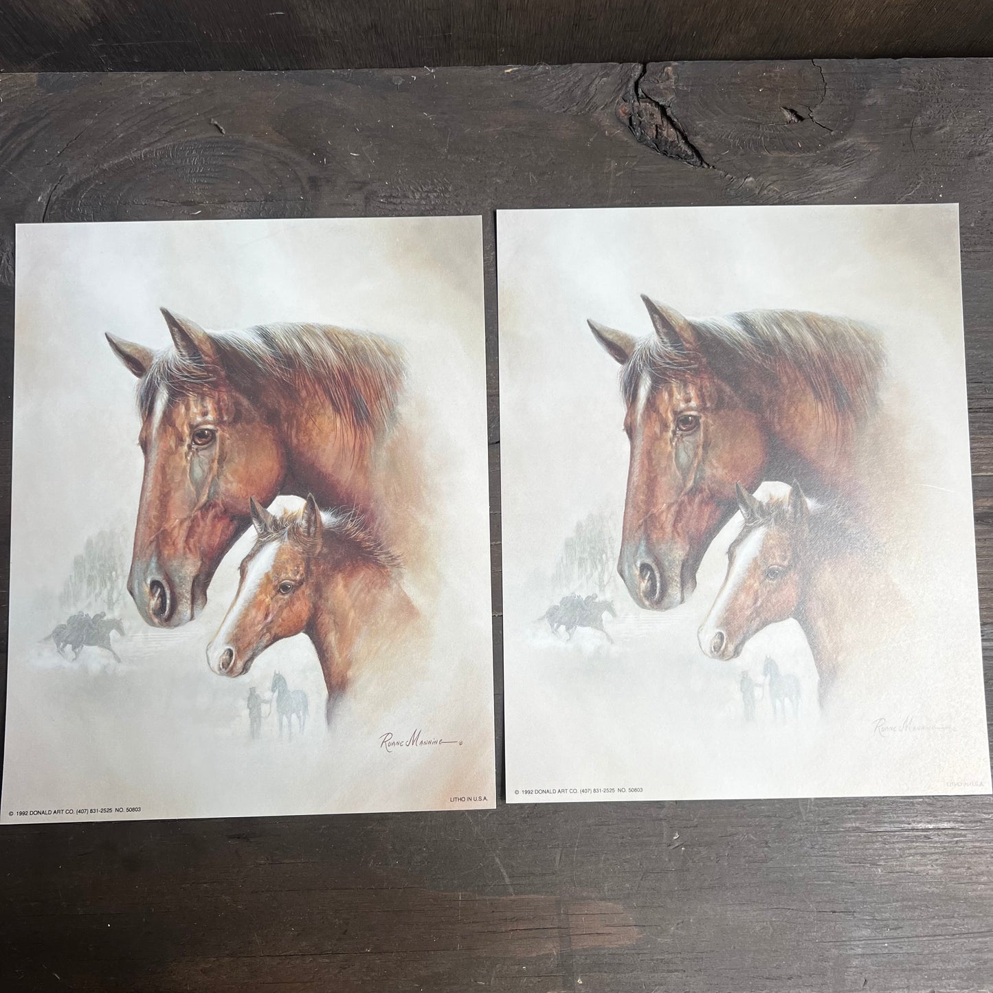 Ruane Manning Horse and Foal Art Print