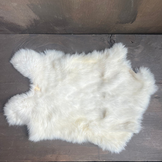 Small White Rabbit Pelt