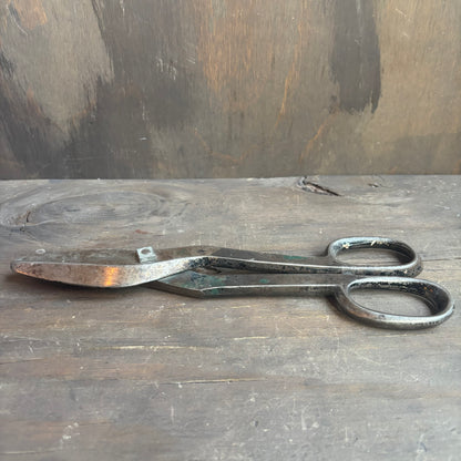 Bergman Buffalo Shears