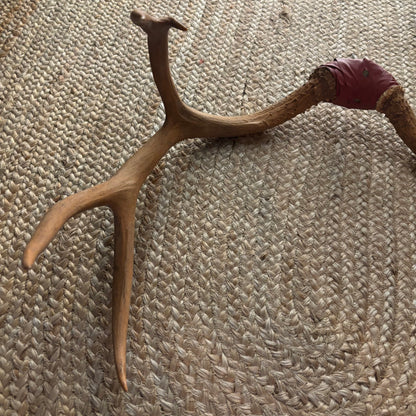 Deer Antlers