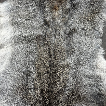 Small Brown Rabbit Pelt