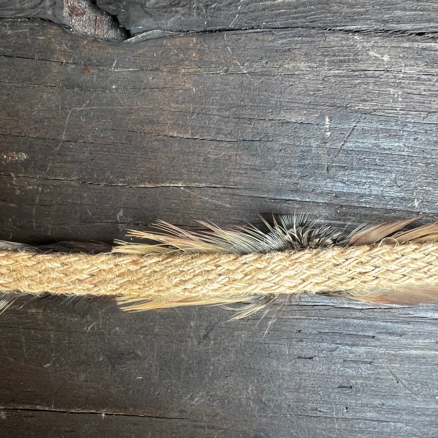 Vintage Feather Hatband