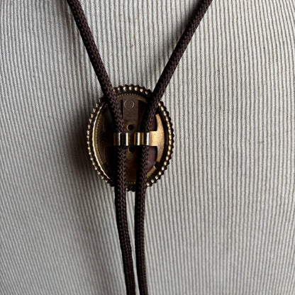 Oval Bolo on Brown Tie