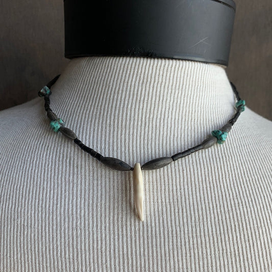 Coyote Tooth and Turquoise Necklace