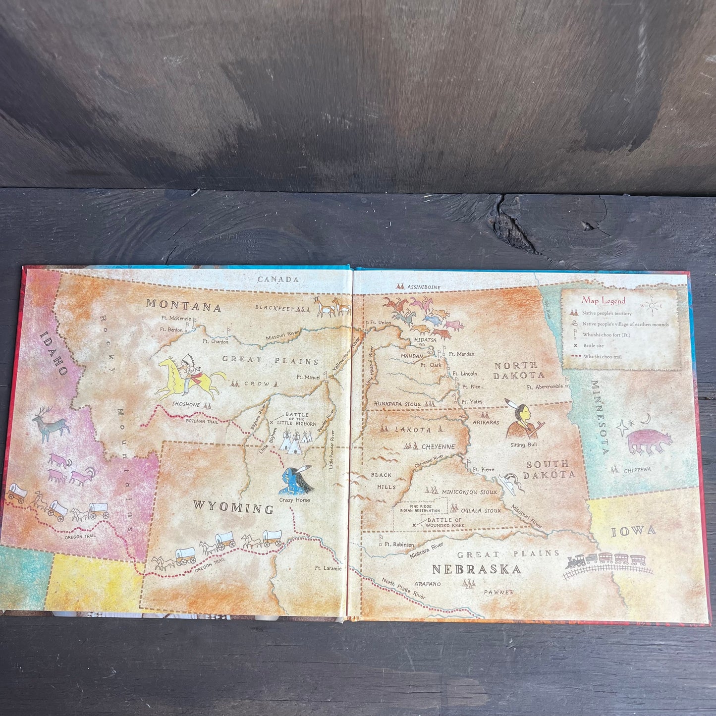 Black Elk’s Vision Book