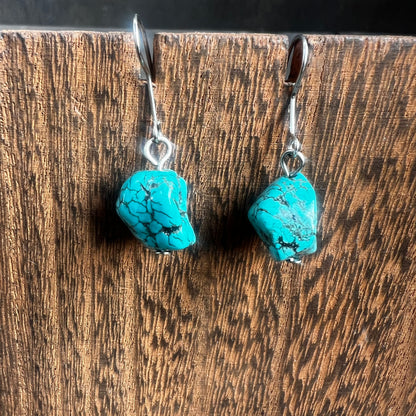 Turquoise Dangly Earrings
