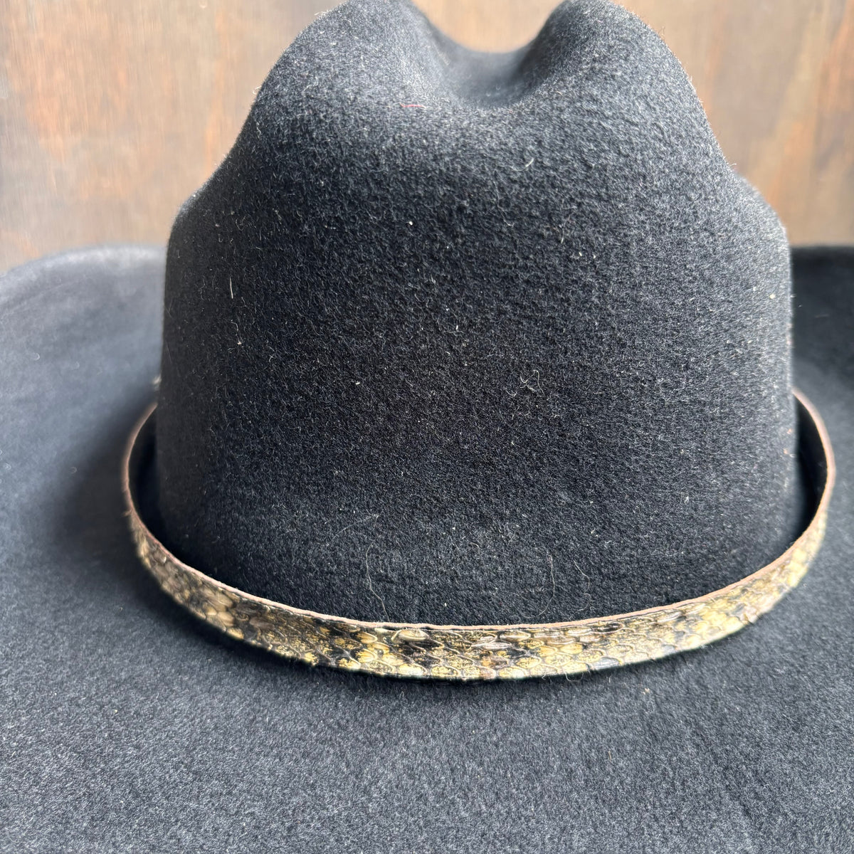 Vintage Rattlesnake Hat Band