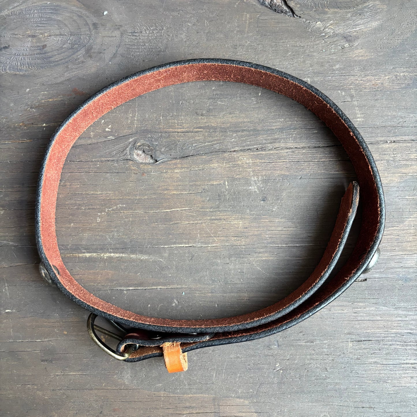 Brown Leather Belt with Conchos