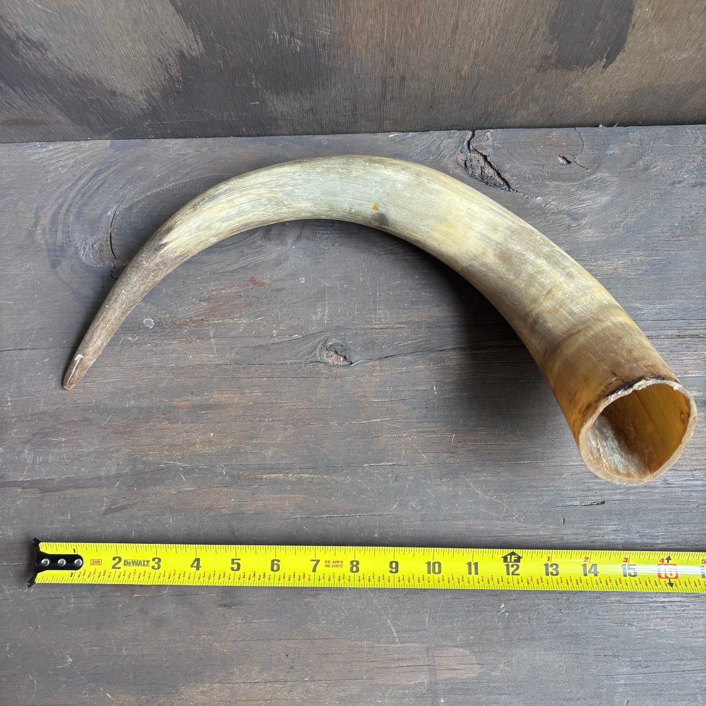 Cow Powder Horn