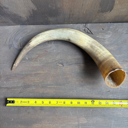 Cow Powder Horn