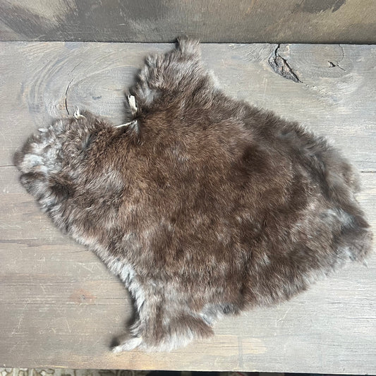 Small Brown Rabbit Pelt