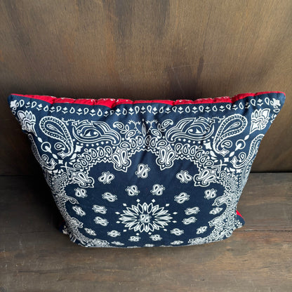 Blue and Red Paisley Throw Pillow