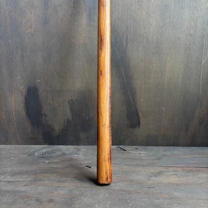 Dragon Walking Stick