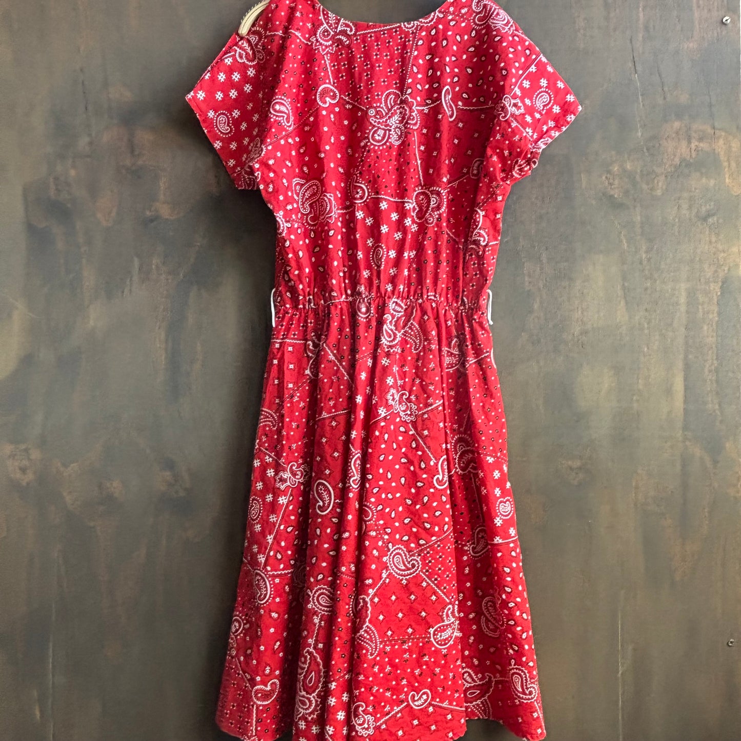 Vintage Red Paisley Dress