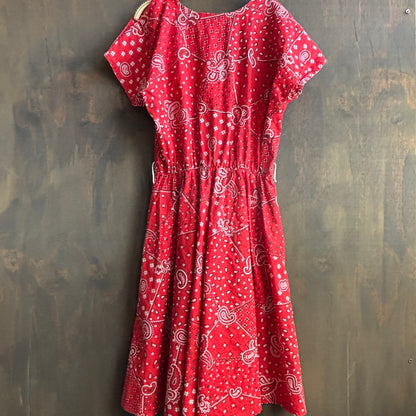 Vintage Red Paisley Dress