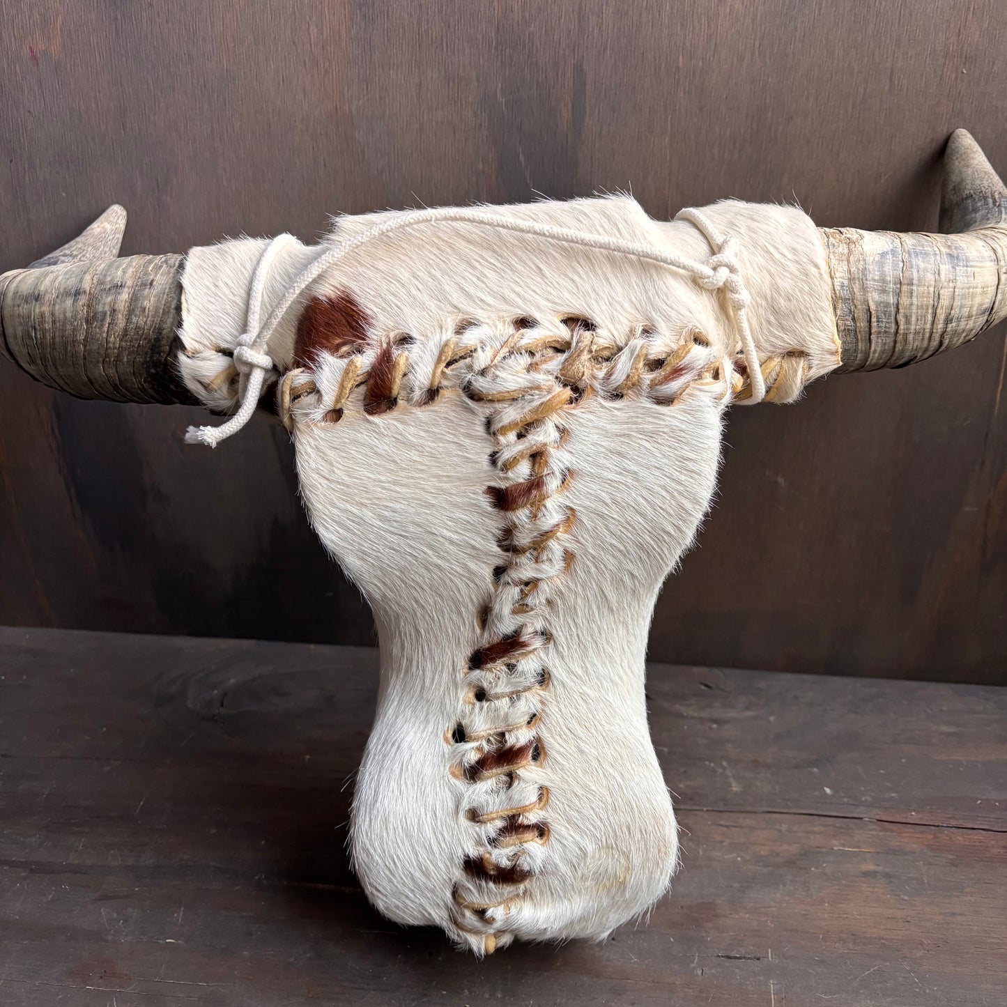 Cowhide Covered Bust with Longhorns