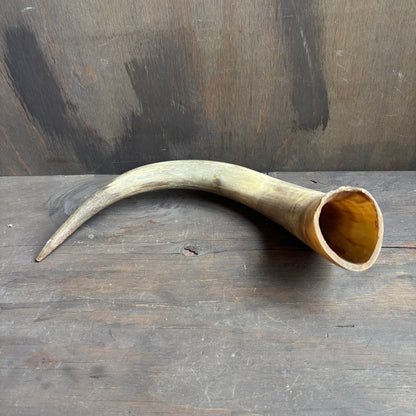 Cow Powder Horn