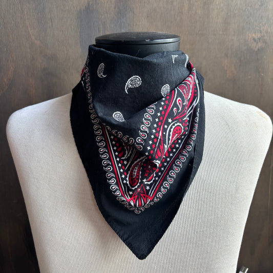 Red and Black Paisley Bandana