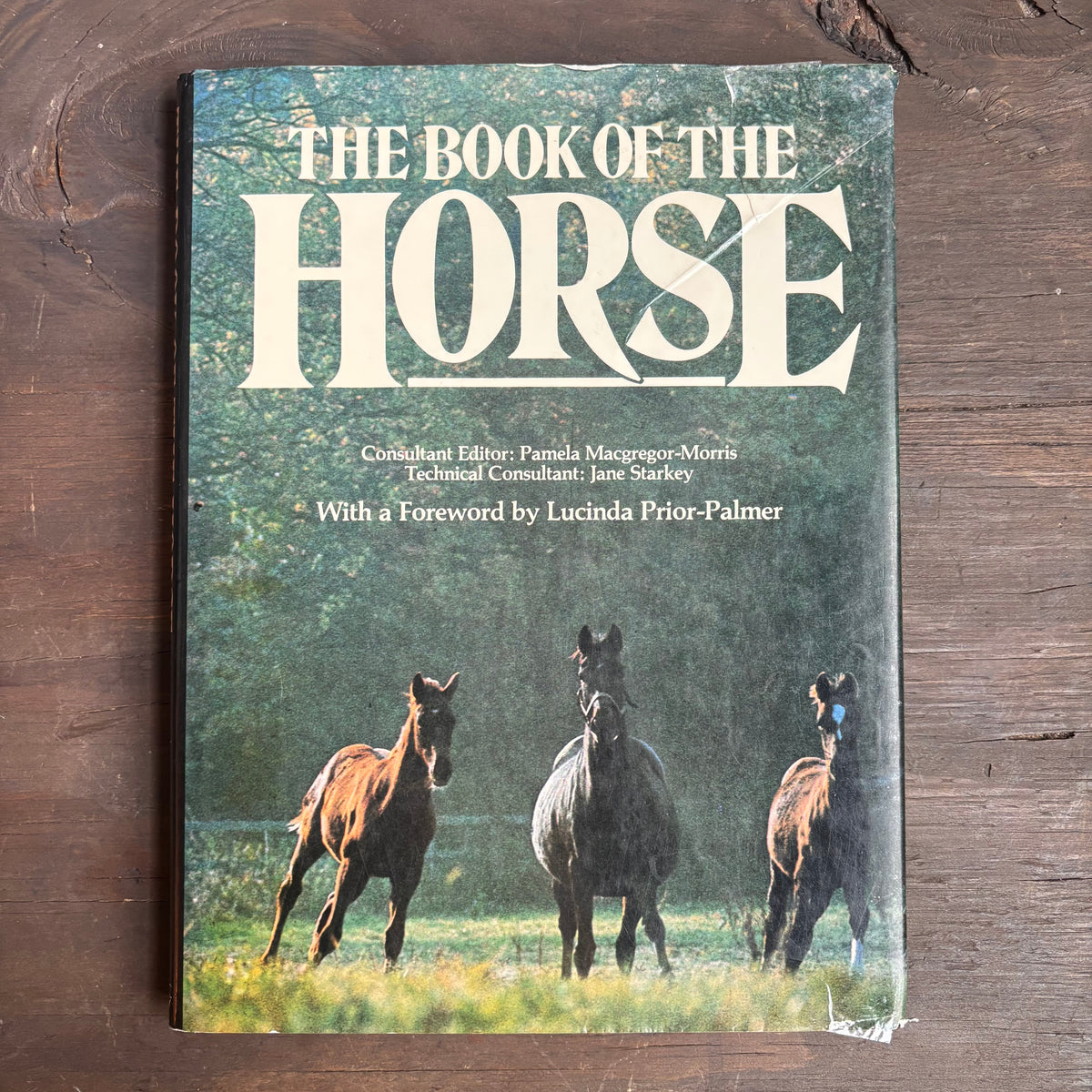 The Book of The Horse