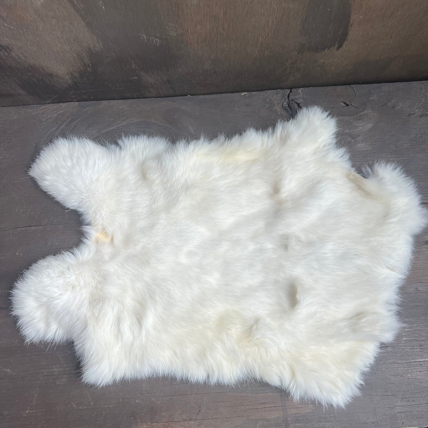 Small White Rabbit Pelt
