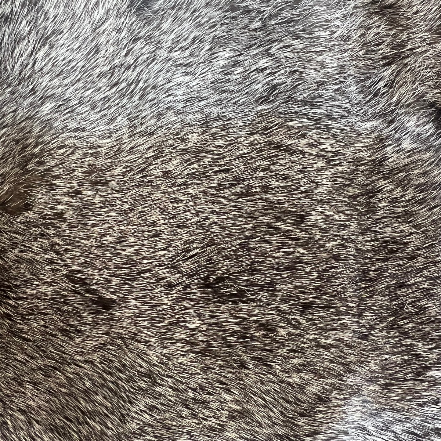 Small Brown Rabbit Pelt