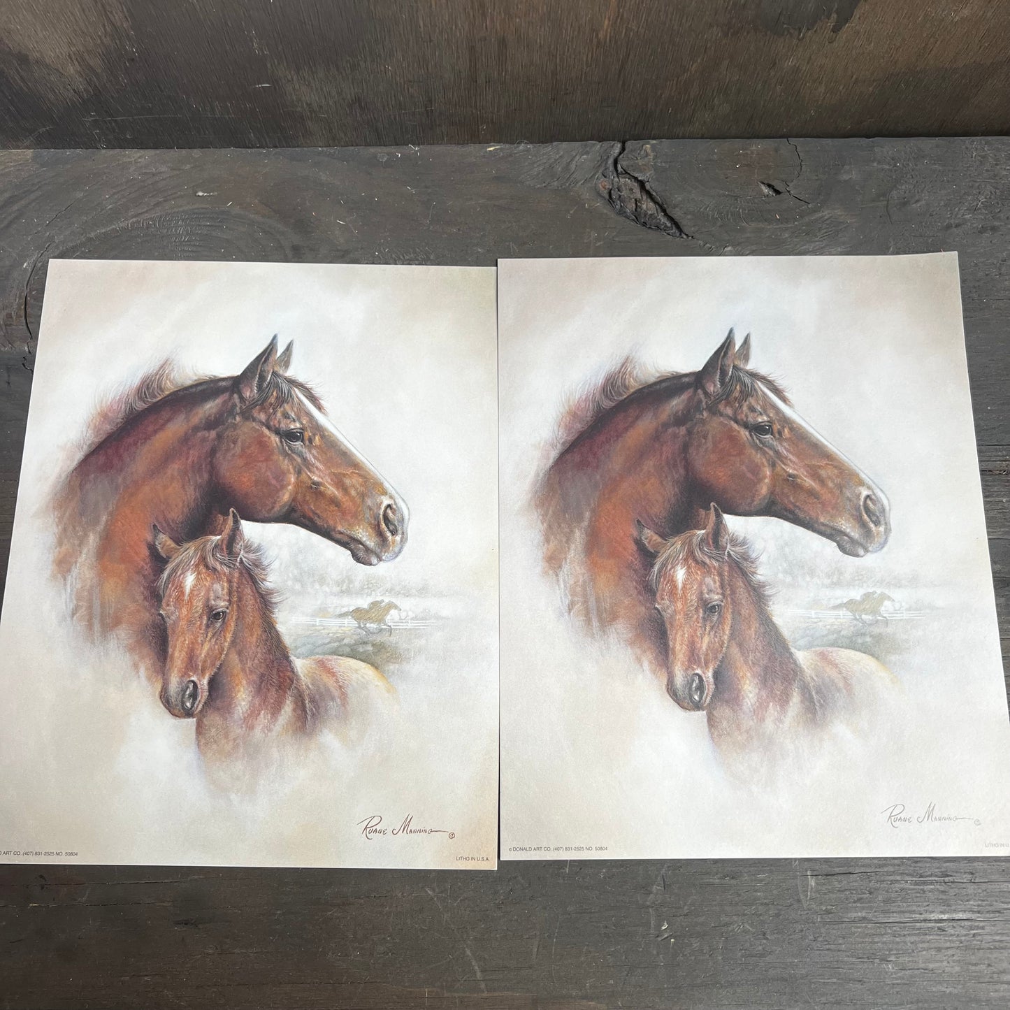 Ruane Manning Horse and Foal Art Print