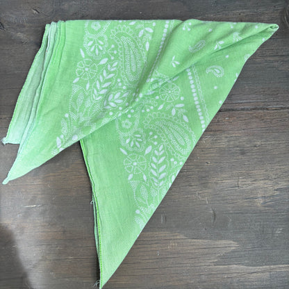 Cotton Paisley Bandana