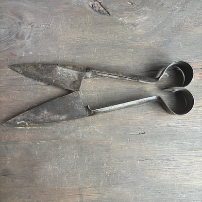 Antique Sheep Sheers