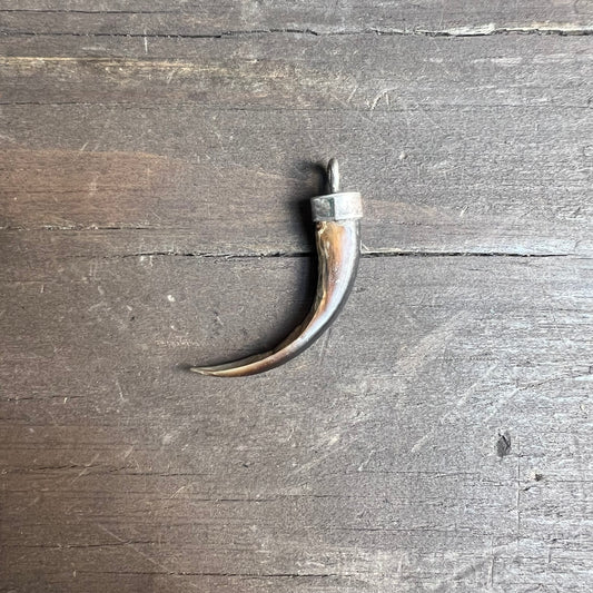Animal Claw Pendant