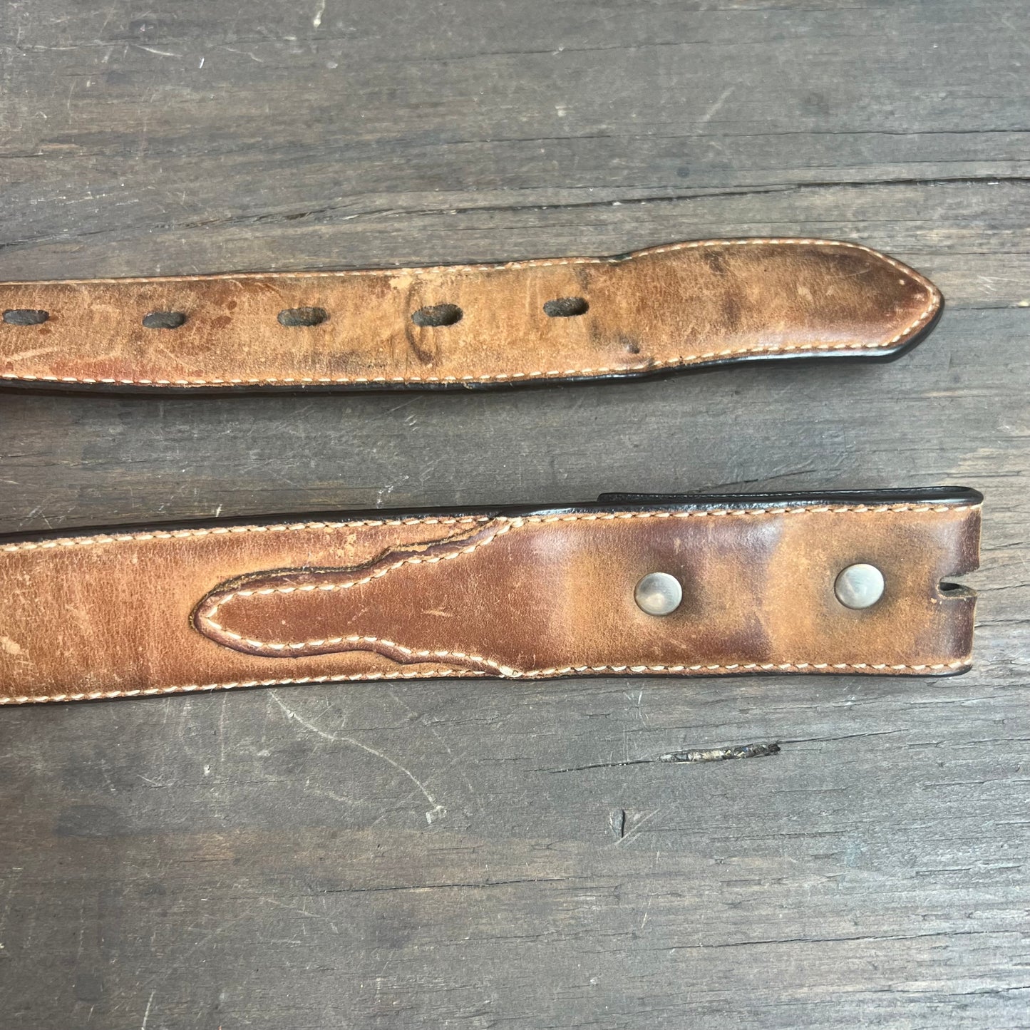 Nocona Longhorn Cattle Kids Belt