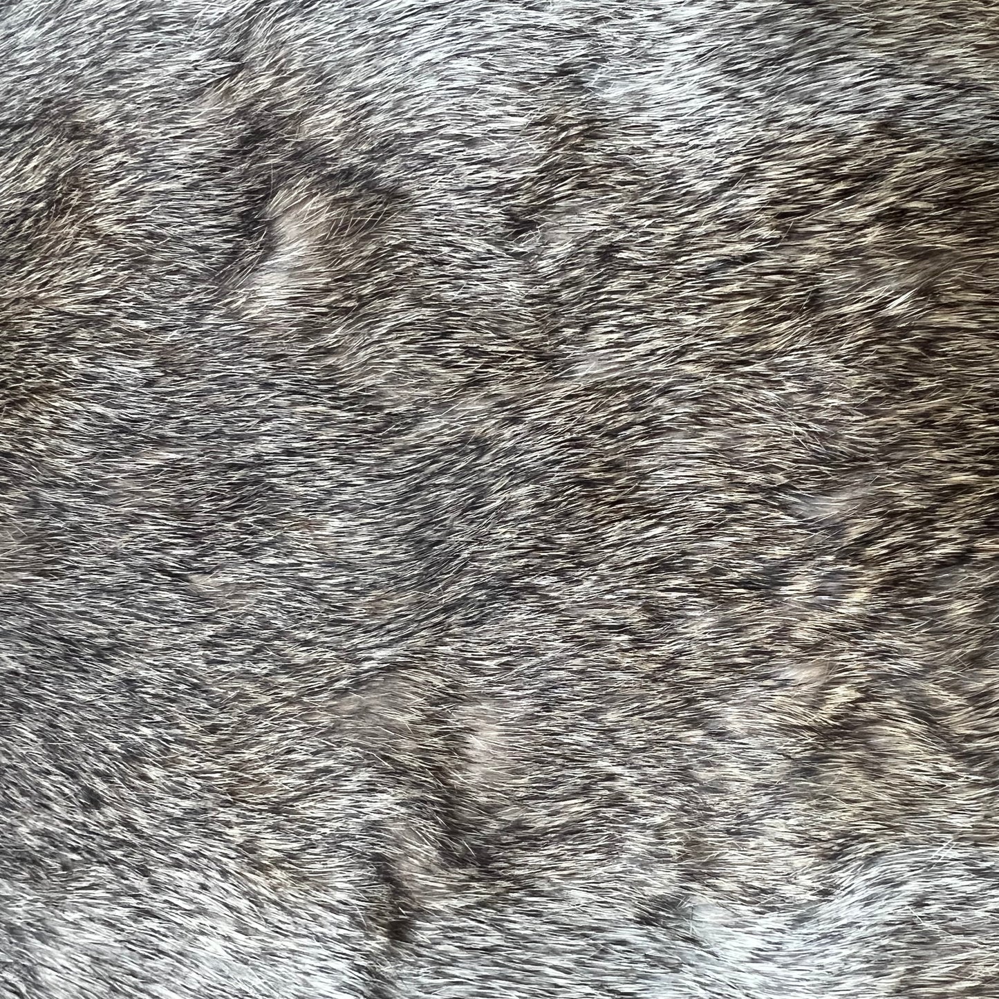 Small Brown Rabbit Pelt