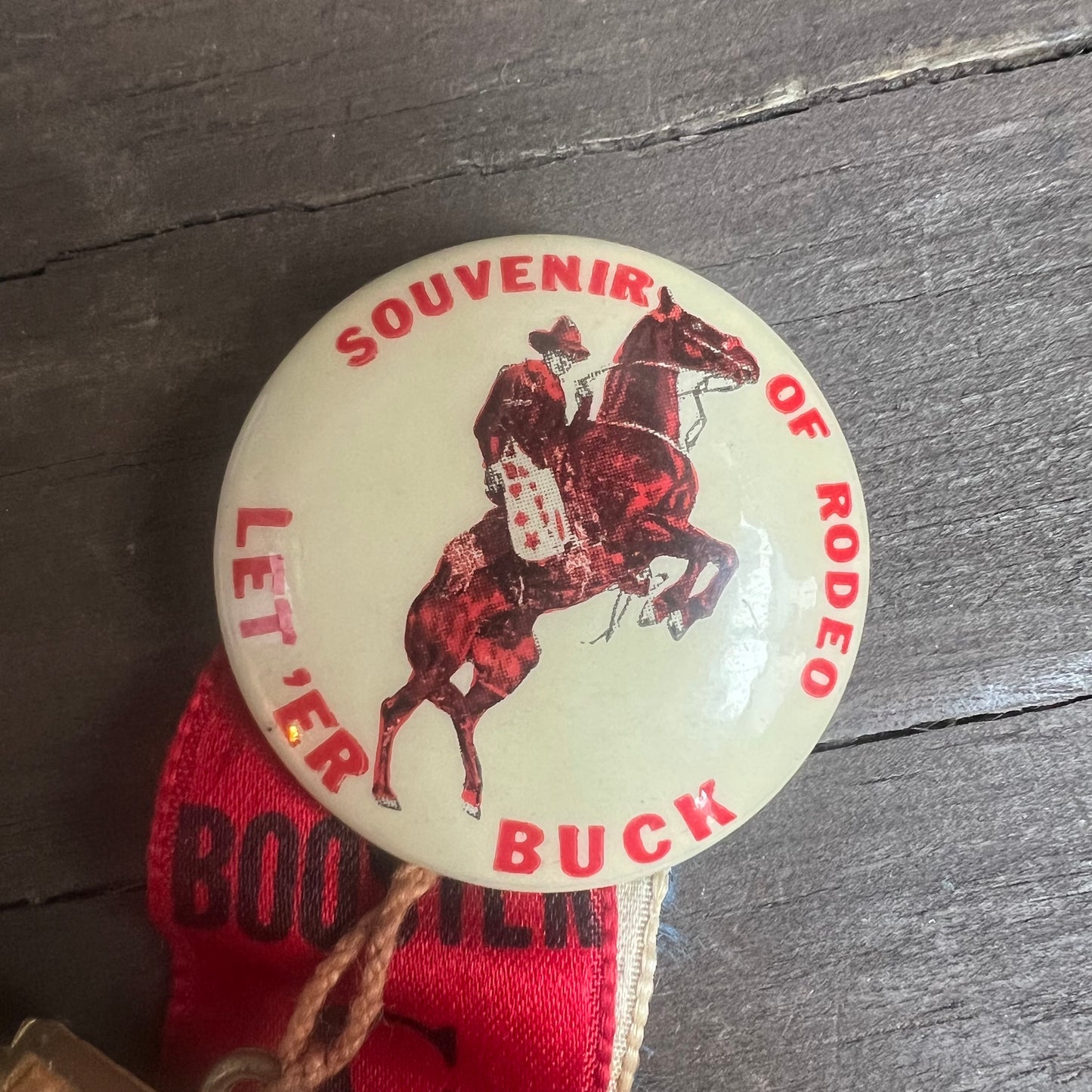 Souvenir of Rodeo Pin