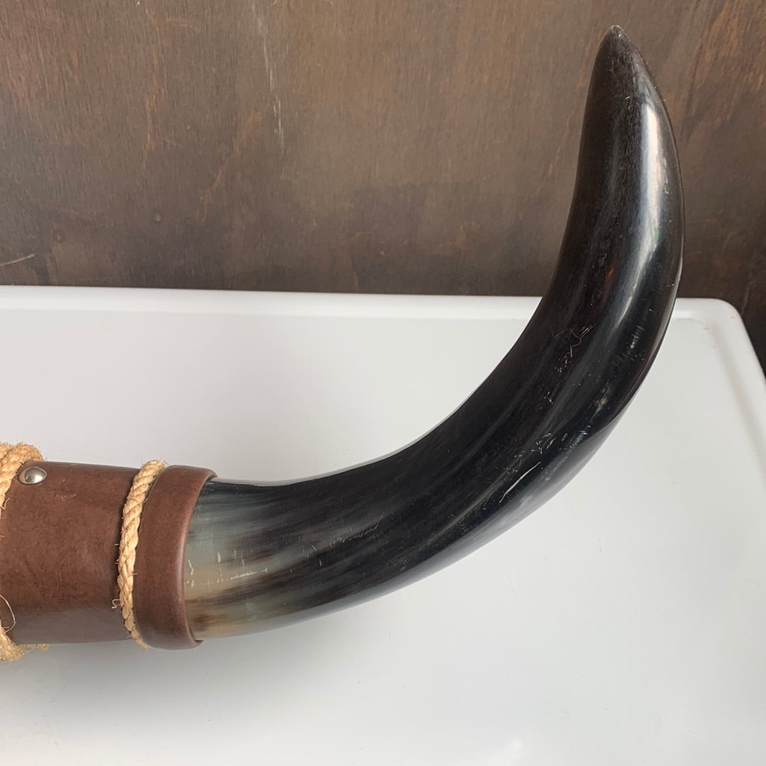 Mounted leather wrapped bull horns