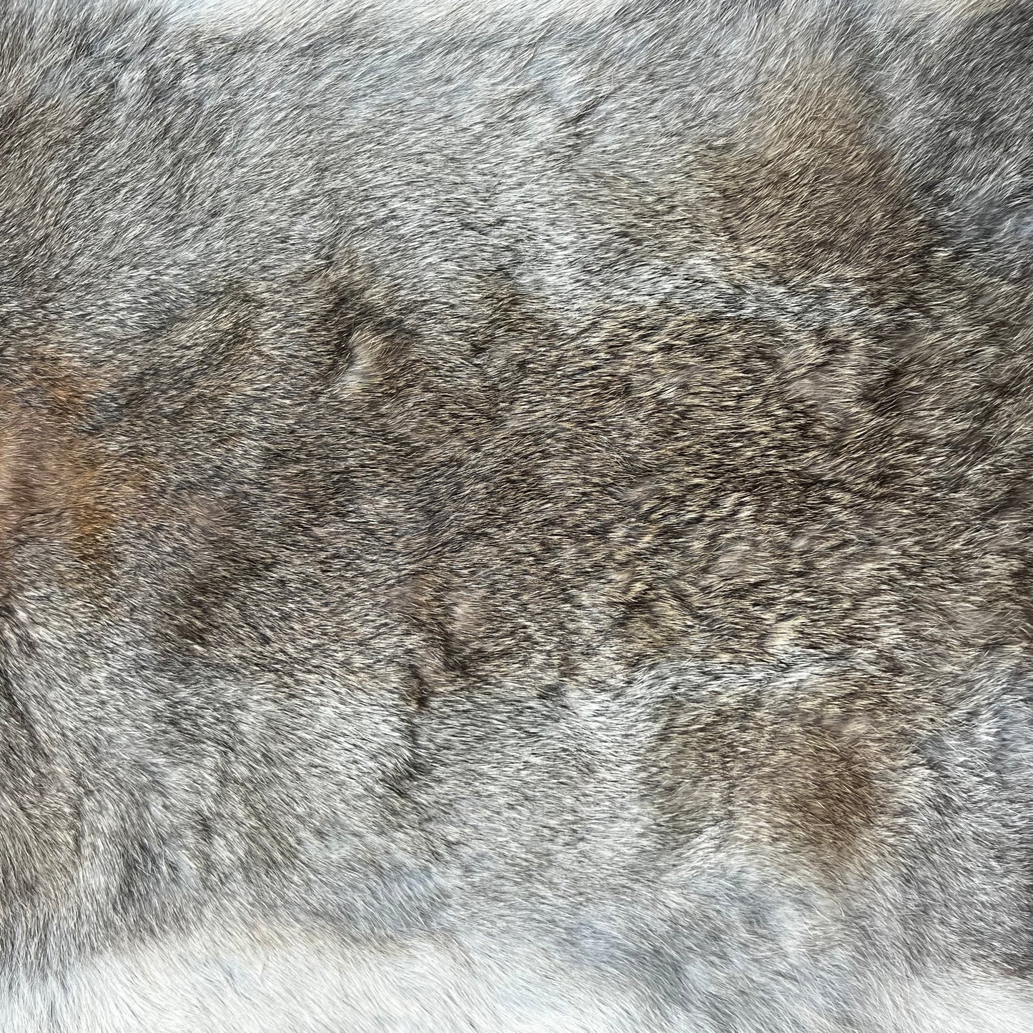 Small Brown Rabbit Pelt