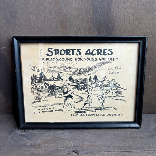 Sports Acres Framed Wall Art